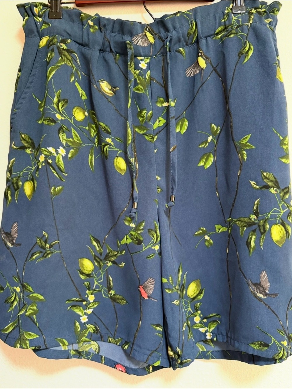 Anthropologie Sz L Navy Shorts ,Yellow & Green Lemon,Birds Print,Forest Fairy